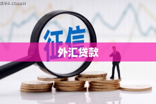 壮围外汇贷款